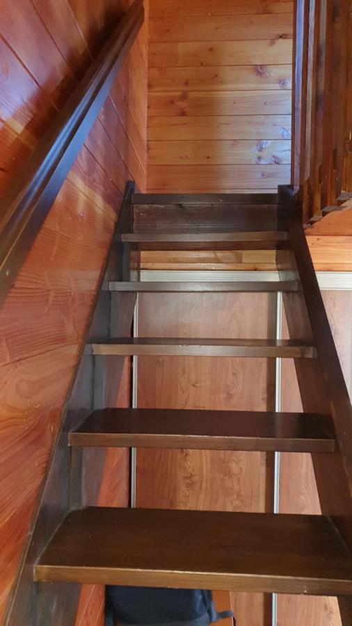 Chalet Individuel Les Sorbiers - 80M2 - Jardin - Barbecue - Wifi - Netflix - Ski & Randonnee - Pyrenees Catalanes Francaises - Eyne Exterior foto