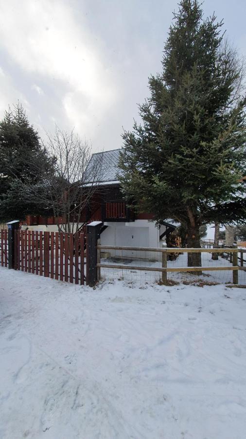 Chalet Individuel Les Sorbiers - 80M2 - Jardin - Barbecue - Wifi - Netflix - Ski & Randonnee - Pyrenees Catalanes Francaises - Eyne Exterior foto